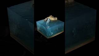 Jonah and the great fish / Diorama