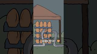 Egg-Eating Snake