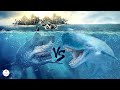 Livyatan Vs Megalodon: Who Would Win in a Fight of Two Ancient Sea Giants?