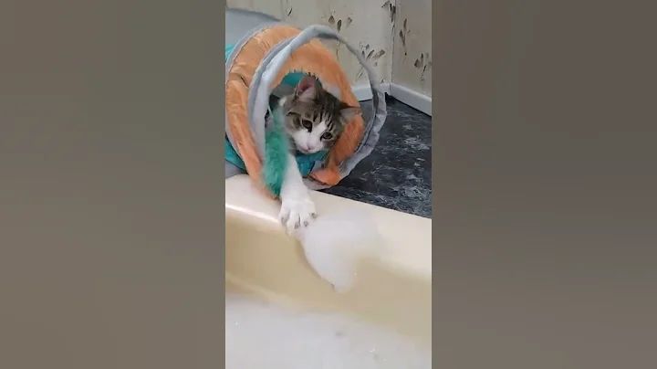 Sokka likes bath time.