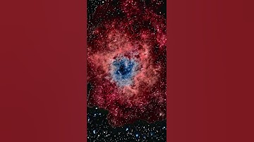 Space Travel To Red Rose Nebula In Deep Outer Space (Screensaver 4K)  #spaceart  #spaceexploration