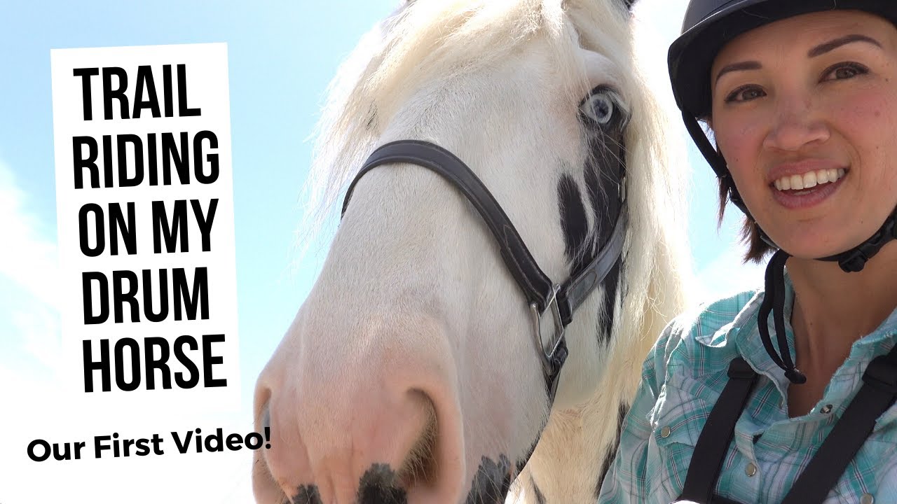 Trail Riding on my Drum Horse!