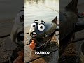 ТАЙНА РАСКРЫТИЯ 🎯🚀 #рыбалка #spod #shorts #ютубшортс #fishing
