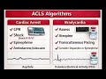 Advanced Cardiac Life Support &amp; rkhc