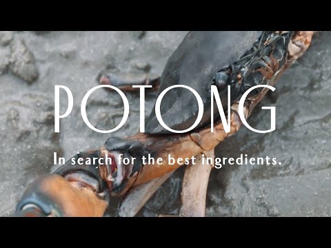 Restaurant POTONG: In search for the best ingredients | Preview To The Sea |