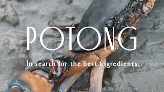 Restaurant POTONG: In search for the best ingredients | Preview To The Sea |