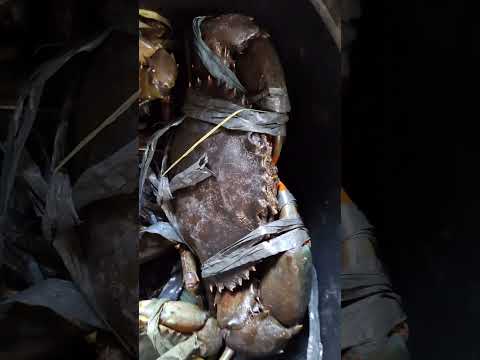 nilibo ang kilo #everyone #viral #trending #shorts #viral #fyp