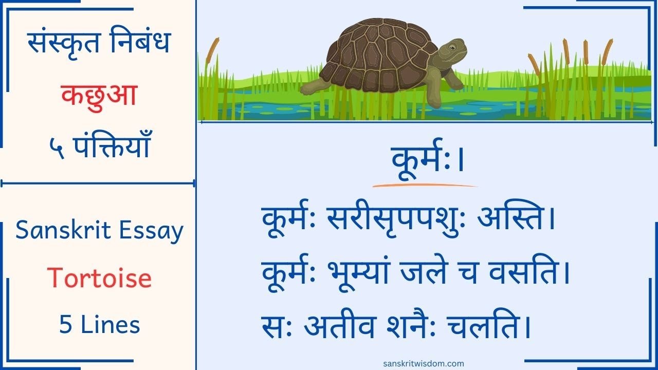 Sanskrit Essay on Tortoise | कछुआ पर निबंध संस्कृत में | संस्कृत में कछुआ पर निबंध | कूर्मः निबन्धः