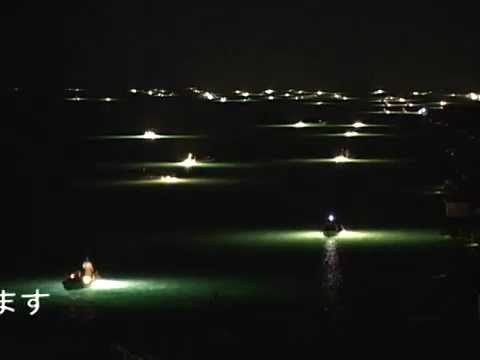 しらすうなぎ漁 阿南市那賀川河口 徳島いきいきテレビ Youtube