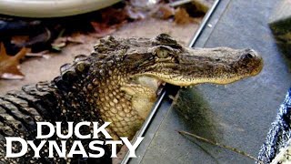 Duck Dynasty: Willie BATTLES a Gator (S1 Flashback) | Duck Dynasty