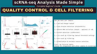 scRNA-seq Quality Control & Cell Filtering — Complete Beginner's Guide (Part 2)