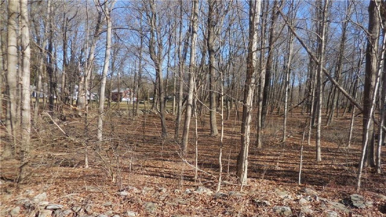 Fostertown Road, Wallkill, NY Presented by George Koudounas.