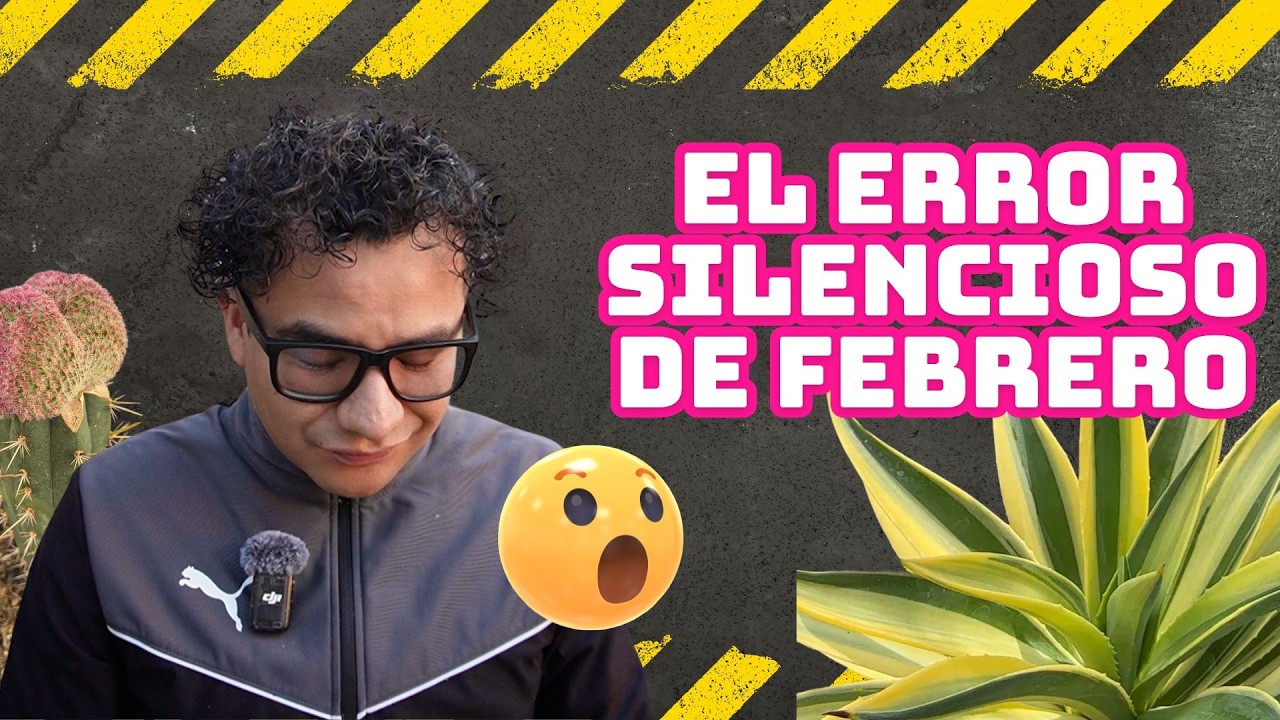 La mayoría de cactus se pierde en febrero… y nadie habla de esto