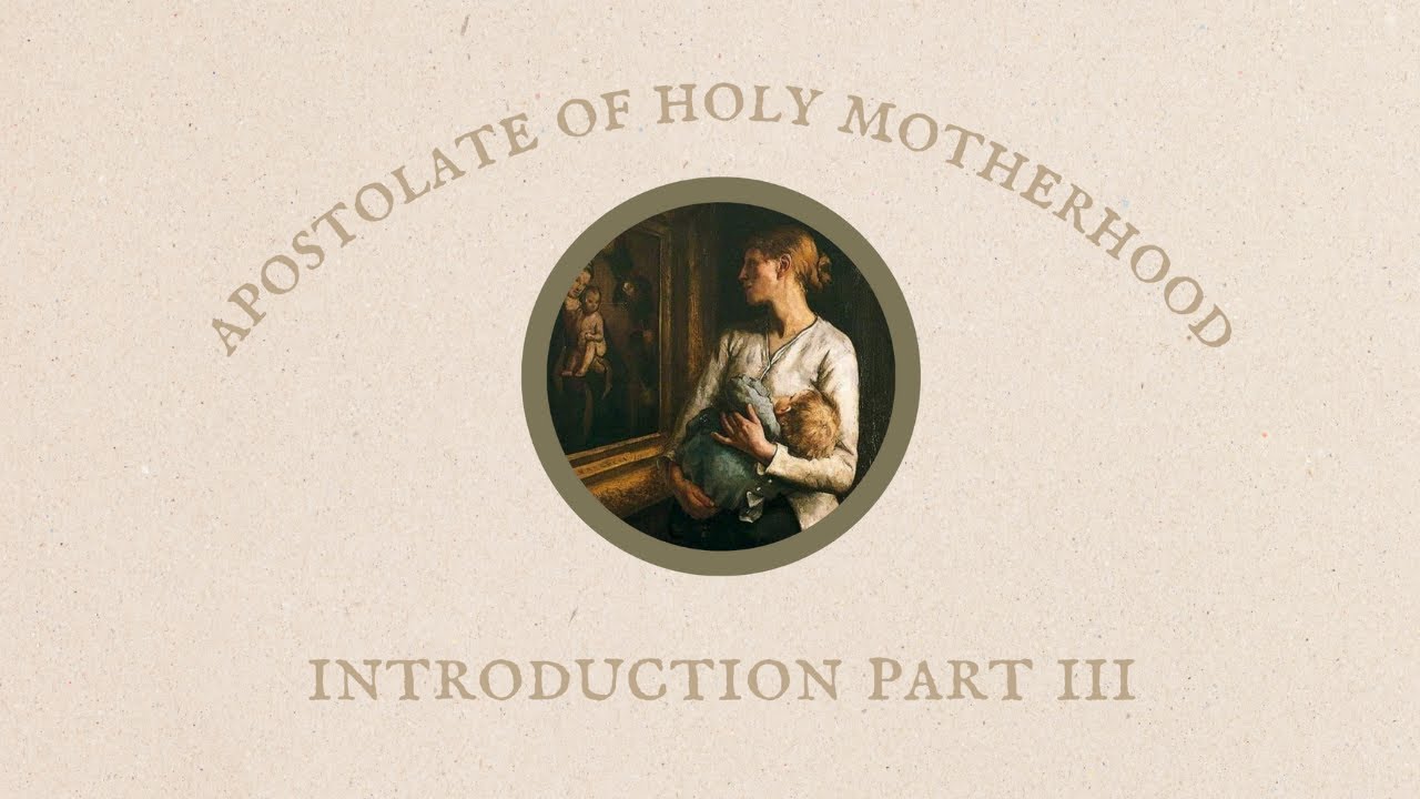 Apostolate of Holy Motherhood | Introduction by Mark Miravalle | Part 3 The Message