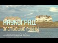 Арктика. Баренцево море. Дальние Зеленцы. Nature of Russia.