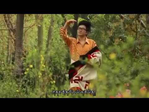 tibetan terrier My Home/ Ngayi Phakhyim by Kangtruk Palden ང་ཡི་ཕ་ཁྱིམ། གངས་ཕྲུག་དཔལ་ལྡན།