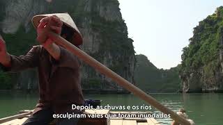 A baía Ha Long, no Vietnam, é um espetacular jardim de ilhas