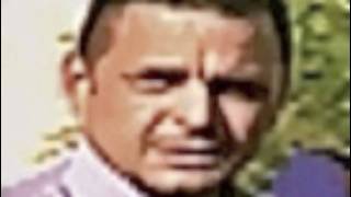 B. Fernandez video