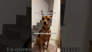 Que fofura 😍 #shorts #videoengraçado #viralshort #viralvideo #humor #petlover #short #youtubeshorts