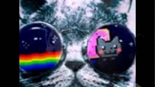 slideshow try not to laugh