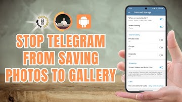 How to Stop Telegram from Saving Photos to Gallerys (Full Guide)