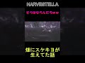 種をまいたら足が生えた【HARVESTELLA(ハーヴェステラ)】 #Shorts ##harvestella
