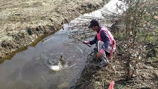 Cobacoba Najur Ikan Gabus Umpan Daging Ayam Malah Panen Mas Bro