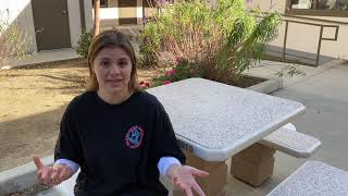 Sustainability Fair Mini Doc