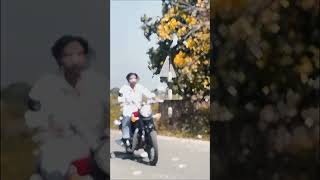 #hindisong #instagram #picture #profile #youtubeshorts c