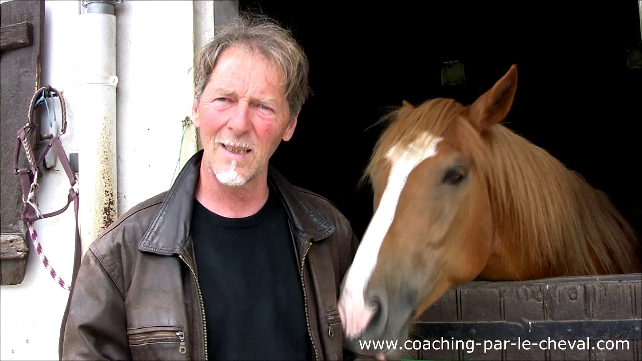 Equicoaching Horse Coaching Formation par Equicoaching Events