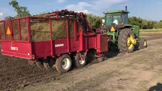 Caudill Farms Sprigging Jiggs bermuda 2019