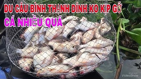 CÂU CÁ DÃNH Ở NHÀ BÈ BÌNH THẠNH LÊN CÁ KO KỊP GỠ // Fishing in the river.