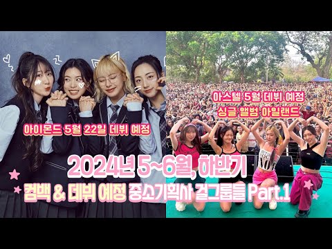 2024년 5~6월, 하반기 컴백&데뷔 예정 중소기획사 걸그룹들 Part.1