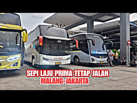 Padet-det, Saling Klakson, Antri Panjang, Pintu Keluar Terminal Purabaya Jam Sibuk