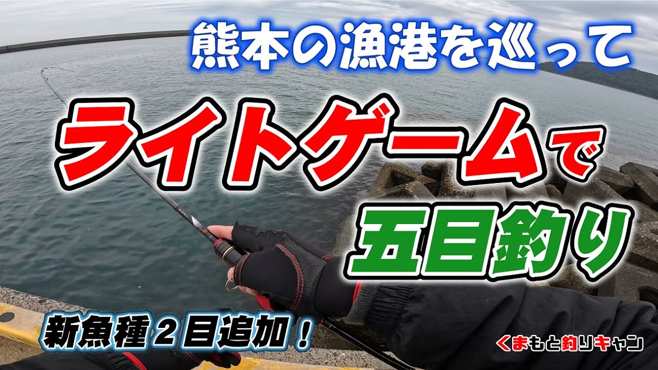 【ライトゲームで五目釣り】新魚種も２目ゲット！熊本の色々な漁港を巡って五目釣るまで行脚してみた