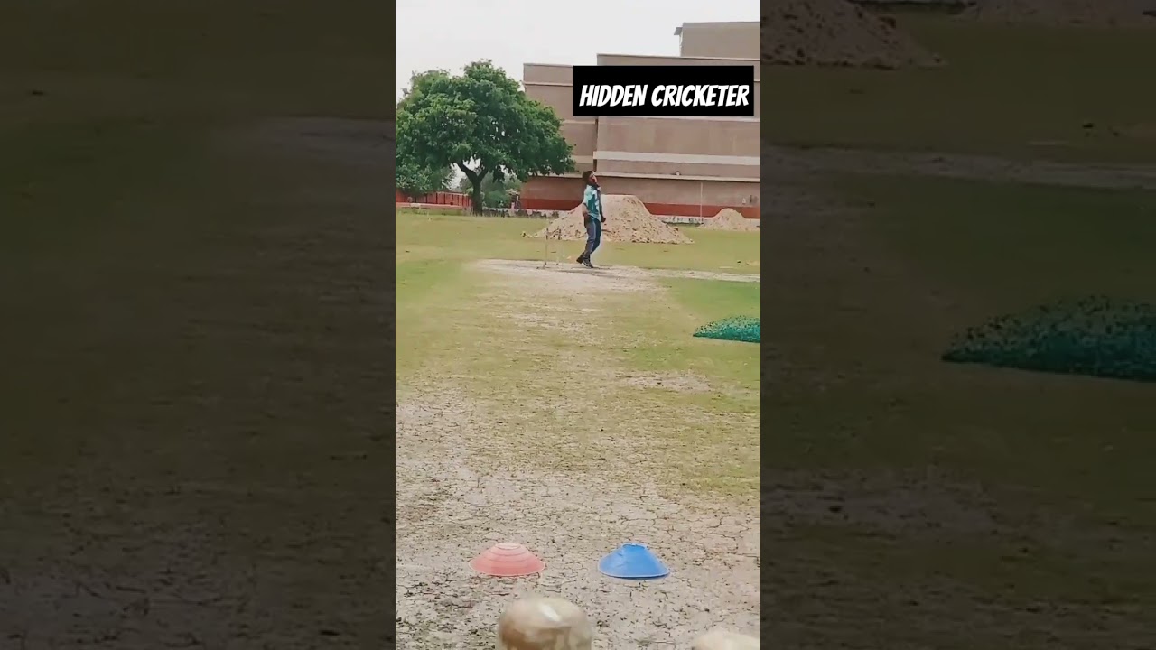 small cricketer ( beginner )