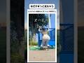 ただのスケボーの練習動画なのに、ずっと見てられる#shorts #tiktok