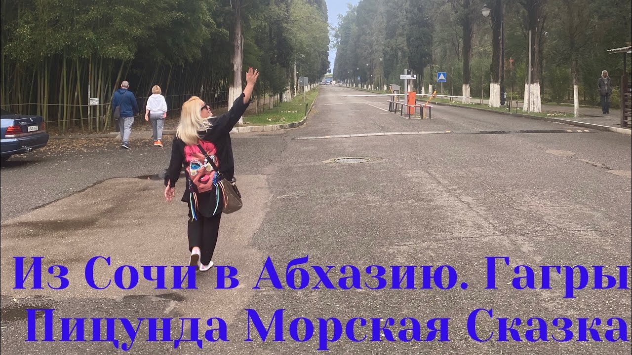 Сочи гагры на машине