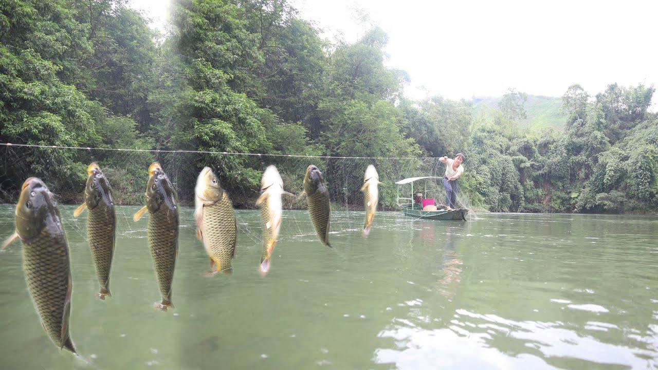 Full Video: How To Make Bait For Big Fish Hooks - Pull The Hook Net To Catch Many Fish In The Stream