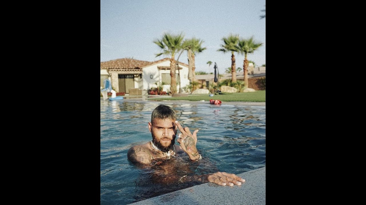 CHRIS BROWN ONLYFANS ACCOUNT REVIEW