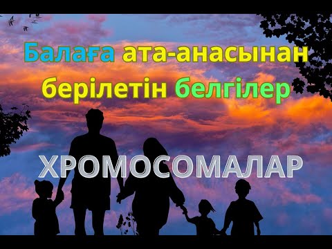 Video: Y хромосомасында кандай гендер бар?