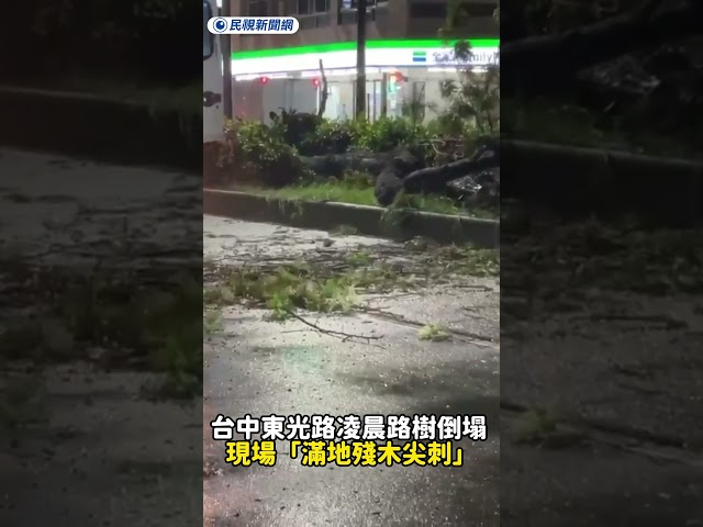 台中東光路凌晨路樹倒塌 現場「滿地殘木尖刺」｜民視新聞｜