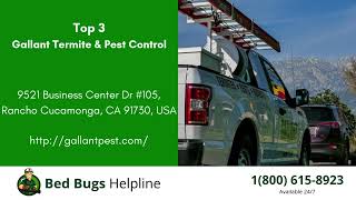 Top 3 Bed Bug Removal in Loma Linda