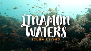 Gopro Hero10 Black I Sonya7Iii I Linamon Waters I Scuba Diving
