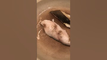 Pan fried cod fish #yummy #asmr #satisfying