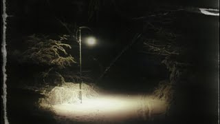 Sleepy Opiate  Disorder 