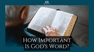 How Important Is God's Word? // Q4 Impact Podcast // Episode 48