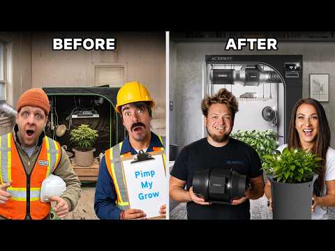 We Flew to Germany to Give a Grower Their Dream Grow Room