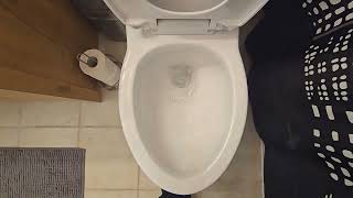 Rare 2024 Danze toilet