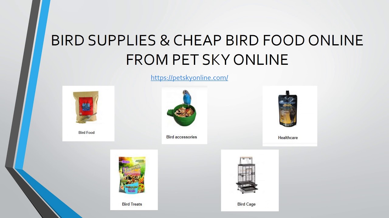 Online Pet Shop UAE Dubai Pet Food, Toys & Supplies YouTube